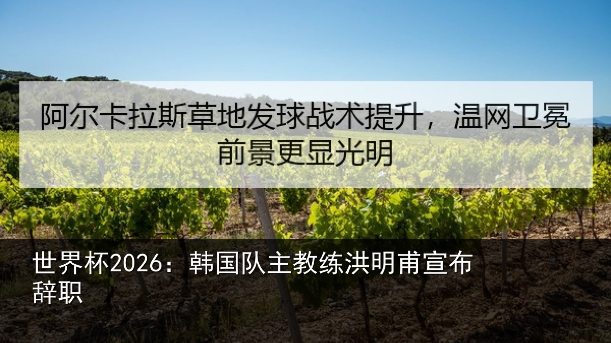 世界杯2026：韩国队主教练洪明甫宣布辞职
