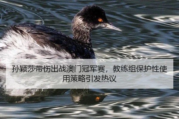 sun-ying-sha-dai-shang-chu-zhan-ao-men-guan-jun-sai-jiao-lian-zu-bao-hu-xing-shi-yong-ce-lve-yin-fa-re-yi-3-664.jpg
